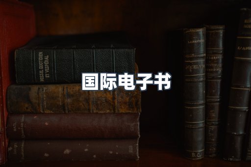 国际电子书